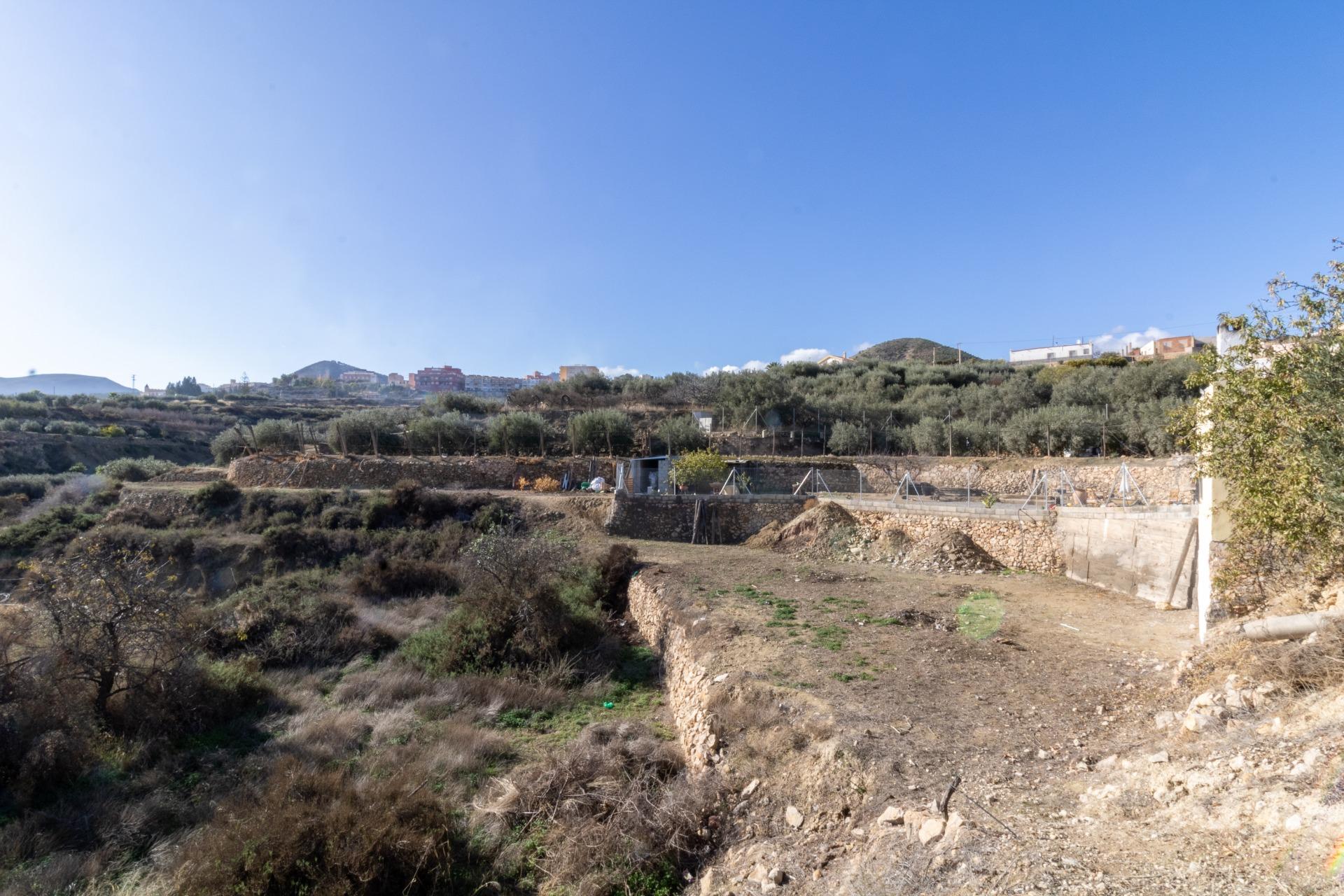 TERRENO RÚSTICO DE ALHAMA DE ALMERÍA