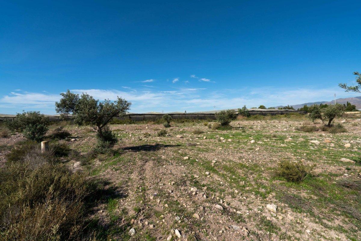 Se Vende Terreno en San Isidro - Nijar