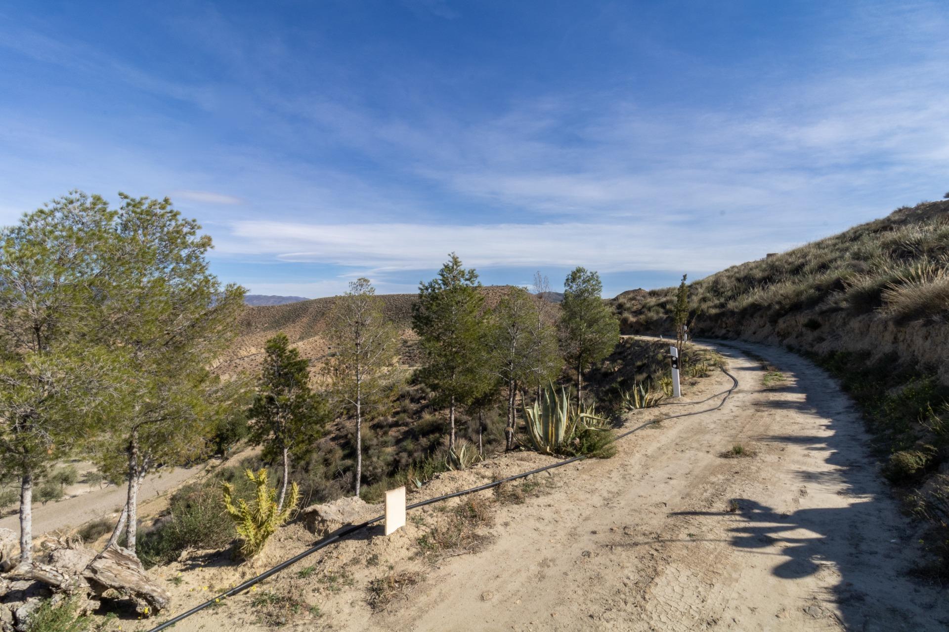 TERRENO Y CHALET EN TABERNAS en Tabernas foto 5 TERRENO Y CHALET EN TABERNAS
