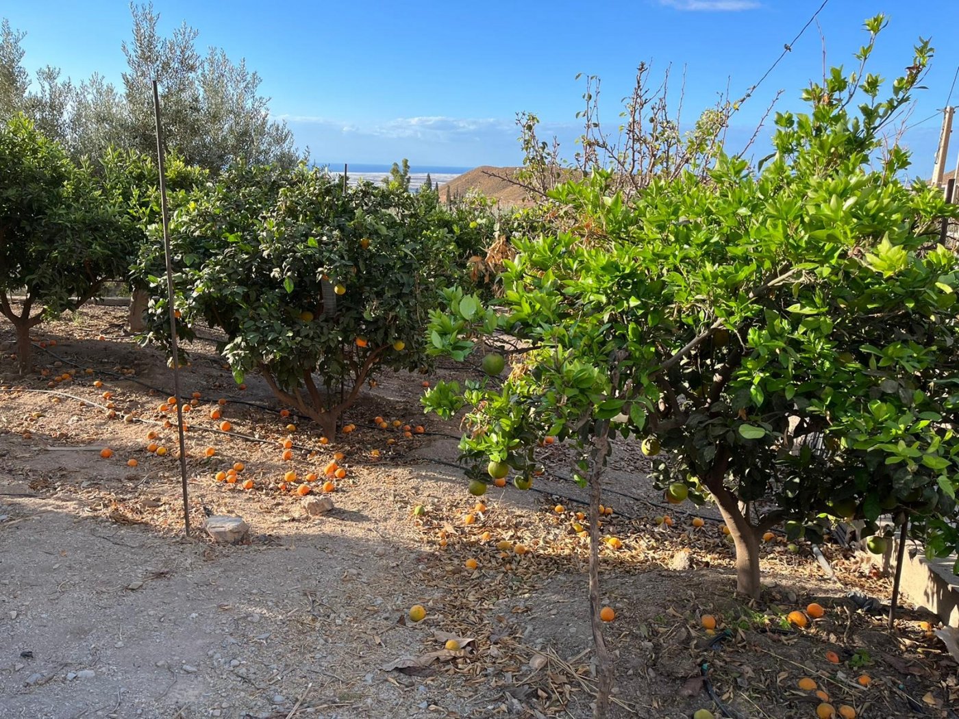 MARAVILLOSA CASA RURAL