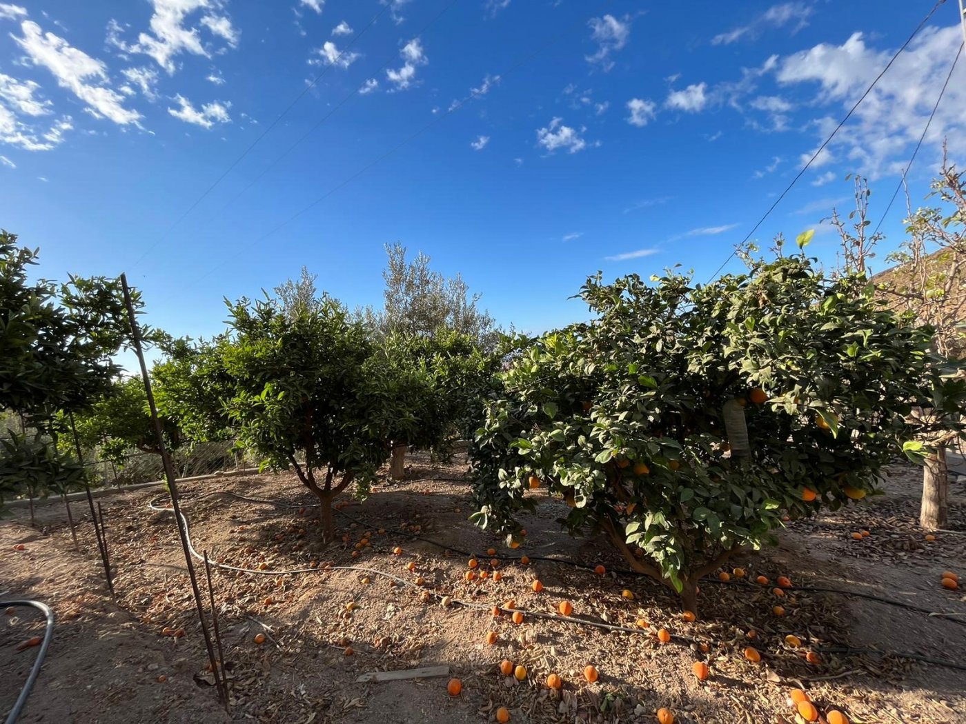 MARAVILLOSA CASA RURAL