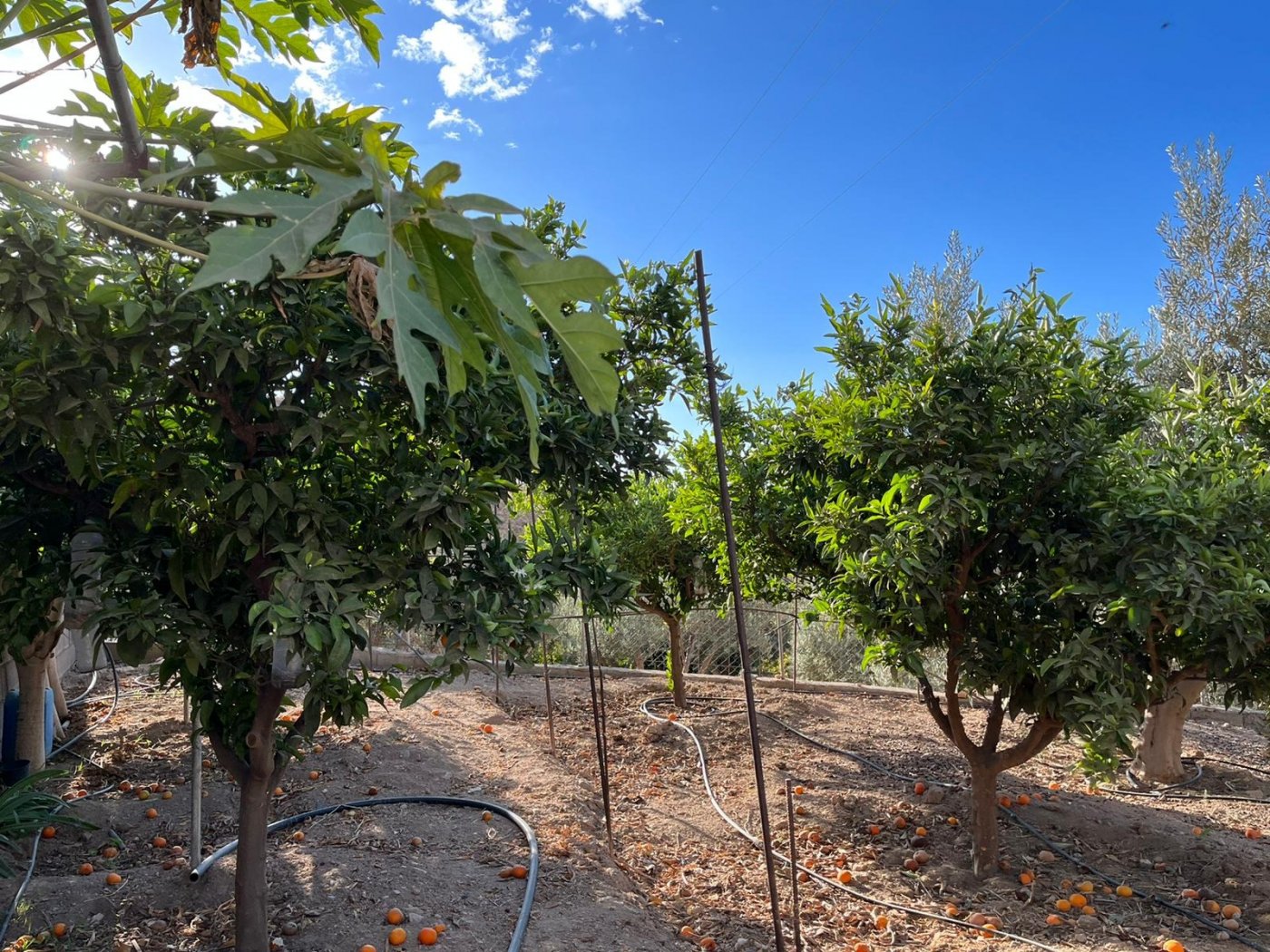 MARAVILLOSA CASA RURAL