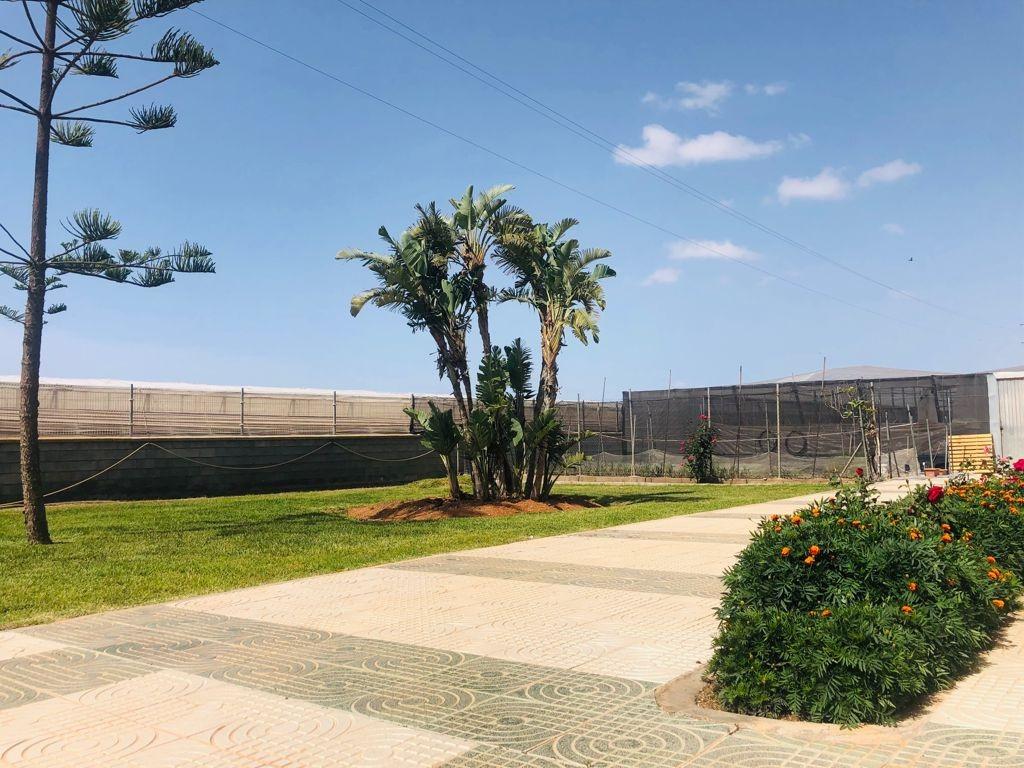 MARAVILLOSO CHALET E INVERNADERO EN ZONA INSTITUTOS