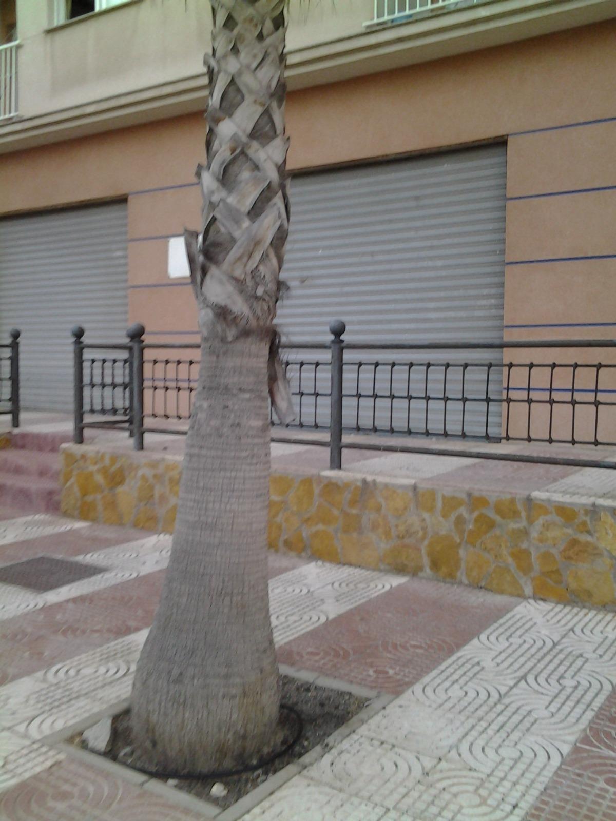 Local comercial en la Urbanización