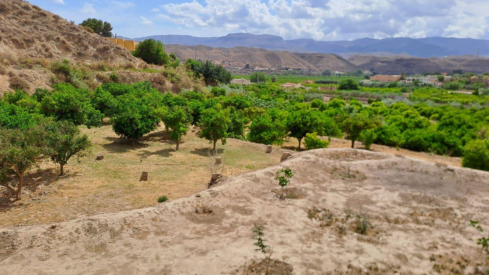 Se vende Terreno en Gador en Almeria foto 4 Se vende Terreno en Gador