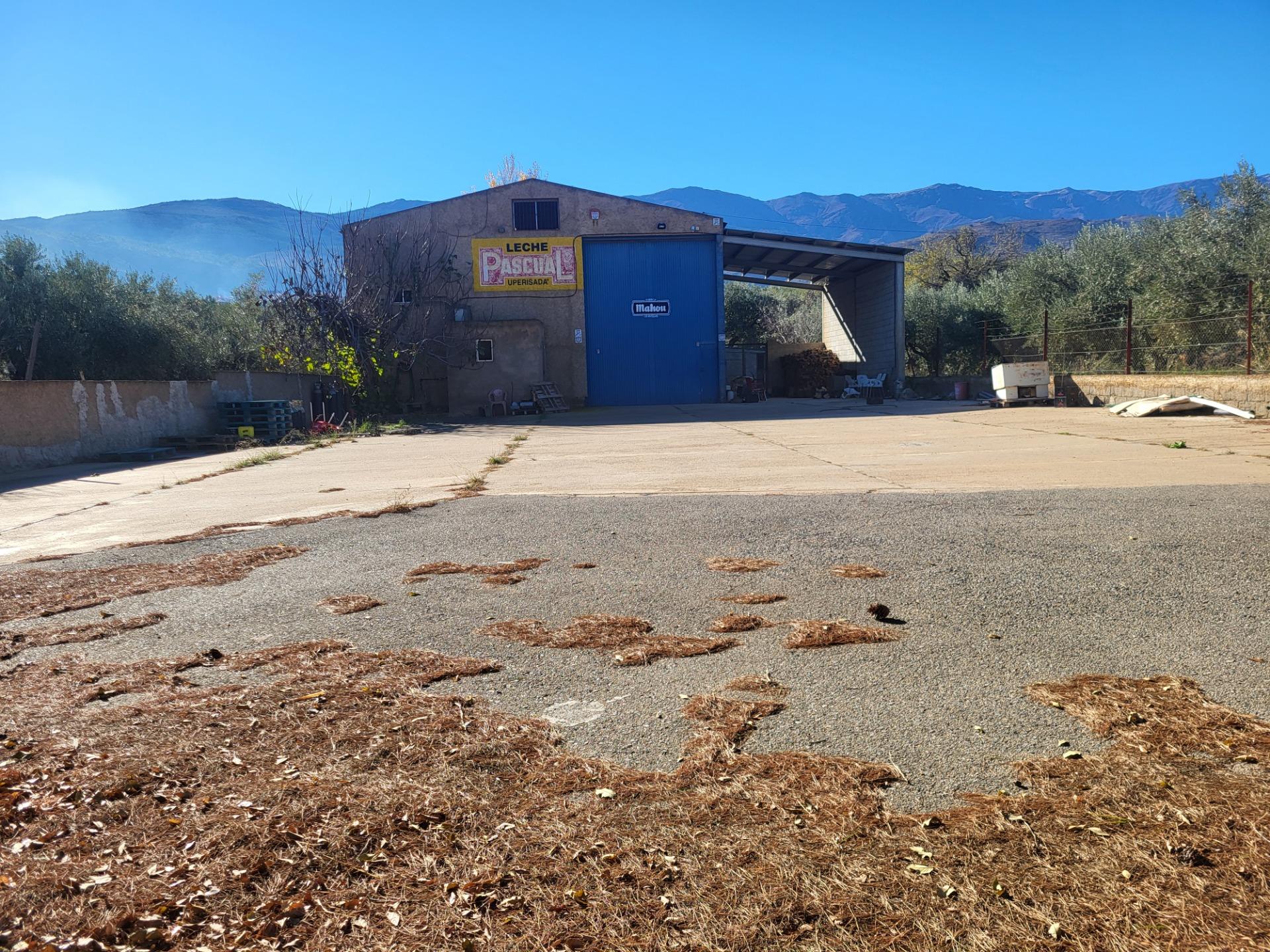 SE ALQUILA NAVE INDUSTRIAL EN ABRUCENA ZONA AUTOVÍA
