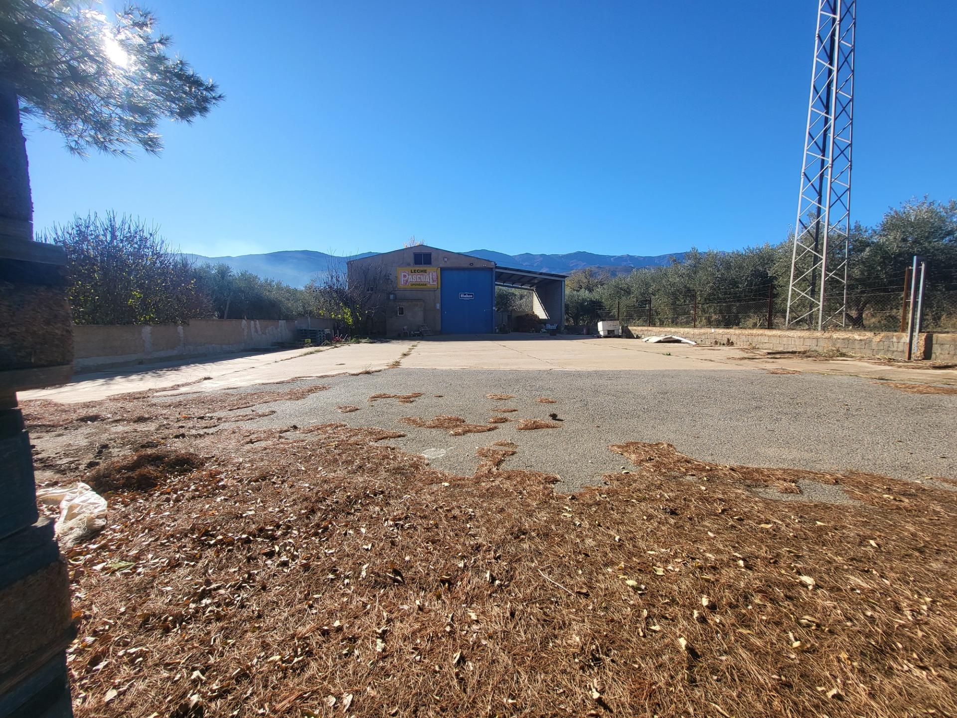 SE ALQUILA NAVE INDUSTRIAL EN ABRUCENA ZONA AUTOVÍA