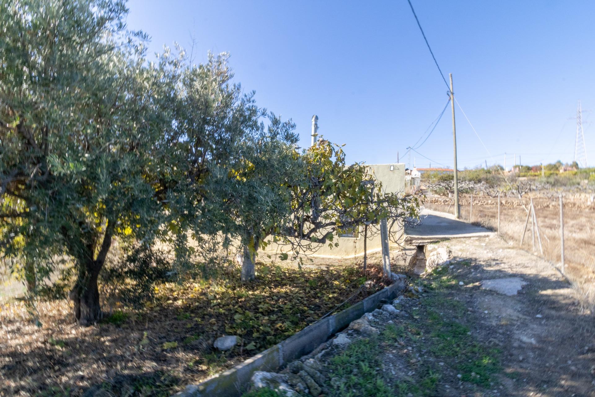 TERRENO RÚSTICO DE ALHAMA DE ALMERÍA en Alhama de Almeria foto 2 TERRENO RÚSTICO DE ALHAMA DE ALMERÍA