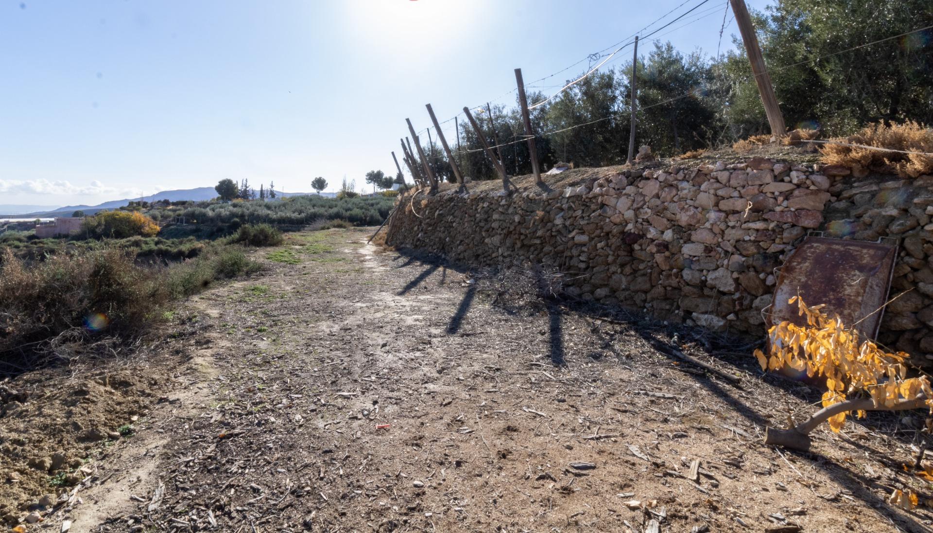TERRENO RÚSTICO DE ALHAMA DE ALMERÍA en Alhama de Almeria foto 4 TERRENO RÚSTICO DE ALHAMA DE ALMERÍA