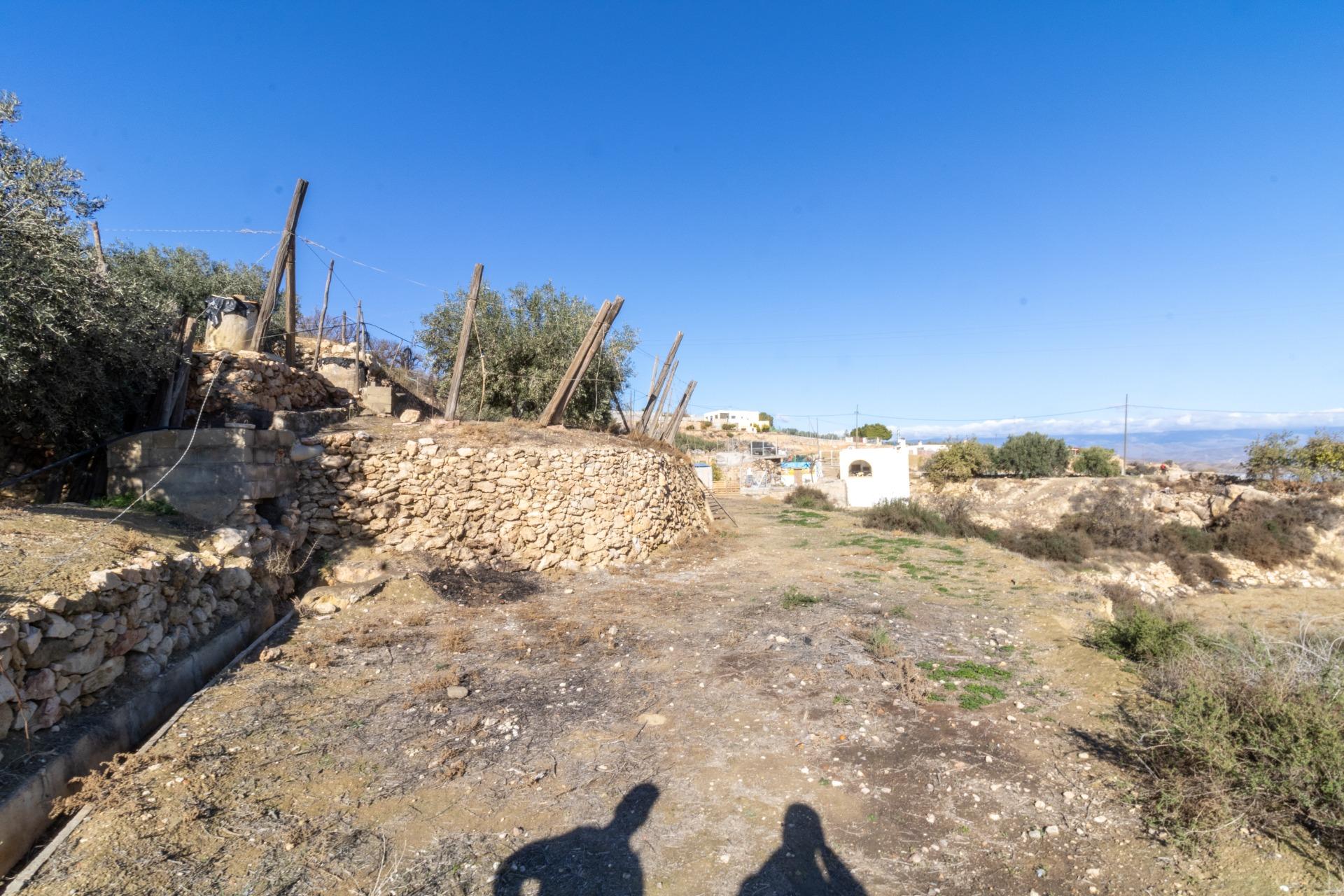 TERRENO RÚSTICO DE ALHAMA DE ALMERÍA en Alhama de Almeria foto 5 TERRENO RÚSTICO DE ALHAMA DE ALMERÍA