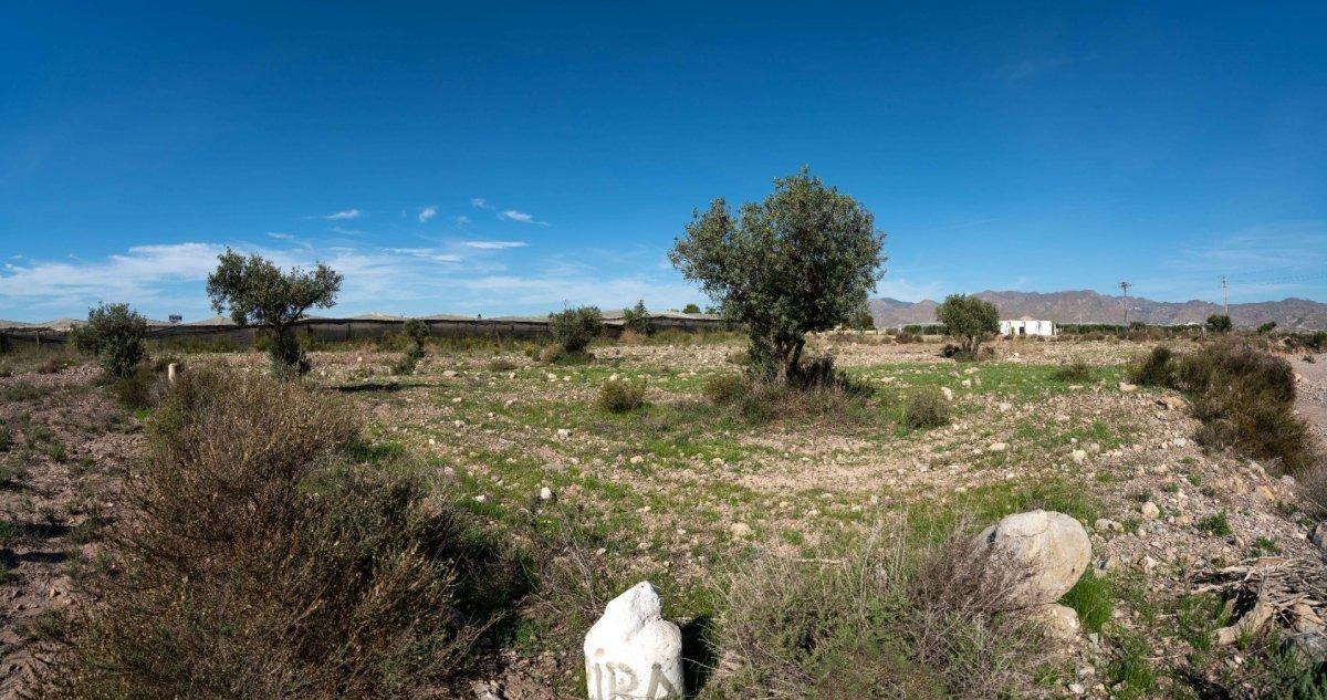 Se Vende Parcela  Agraria en San Isidro - Nijar