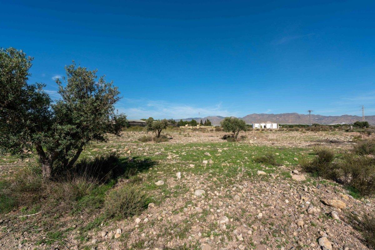 Se Vende Parcela  Agraria en San Isidro - Nijar