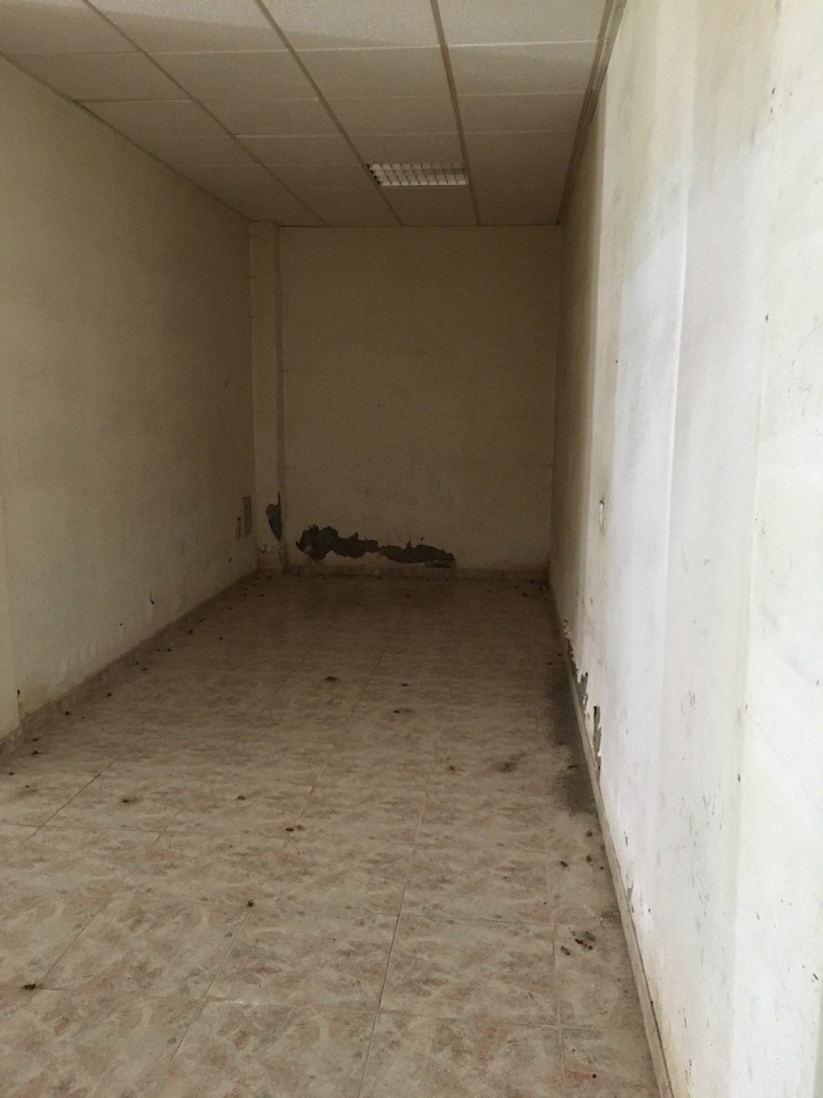 LOCAL COMERCIAL EN CL HERMANOS PINZON en Almeria foto 3 LOCAL COMERCIAL EN CL HERMANOS PINZON