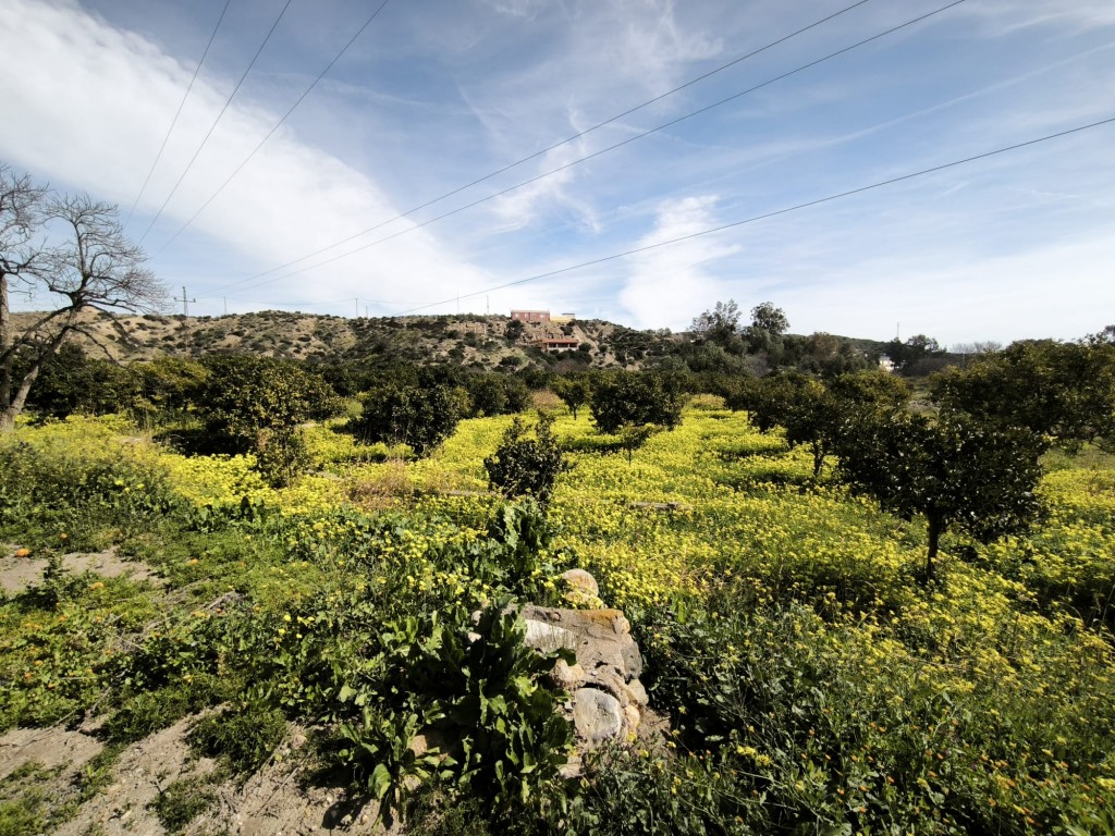 Suelo rústico en Venta en Gador Almería en Gador foto 3 Suelo rústico en Venta en Gador Almería