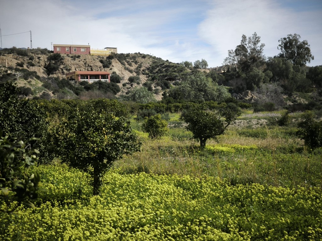 Suelo rústico en Venta en Gador Almería en Gador foto 4 Suelo rústico en Venta en Gador Almería