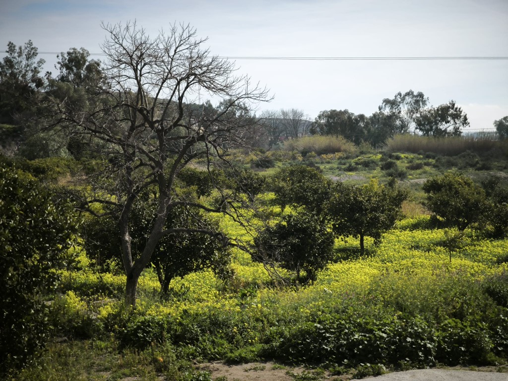 Suelo rústico en Venta en Gador Almería en Gador foto 6 Suelo rústico en Venta en Gador Almería