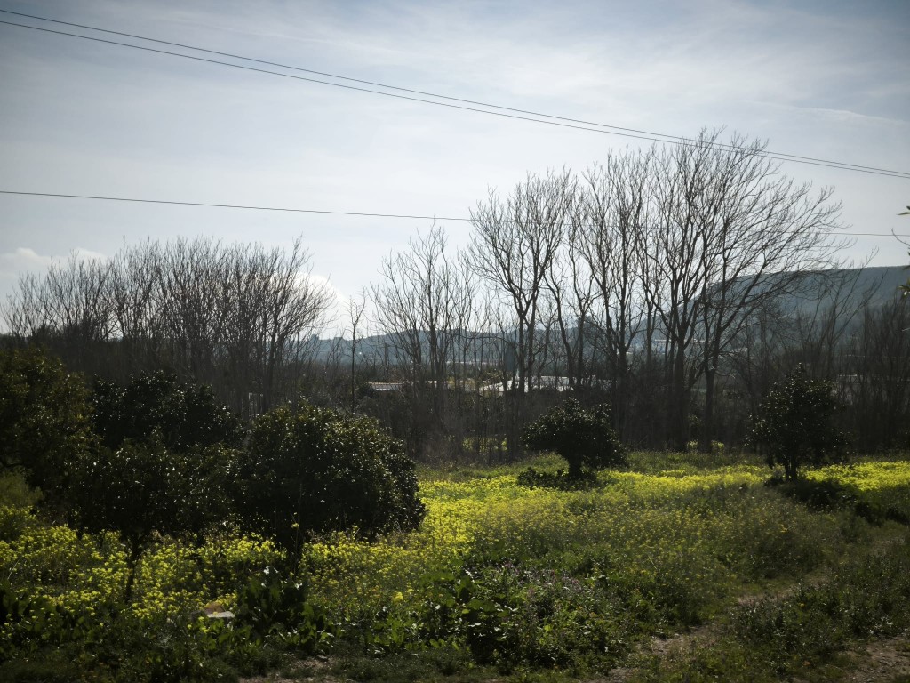 Suelo rústico en Venta en Gador Almería en Gador foto 7 Suelo rústico en Venta en Gador Almería