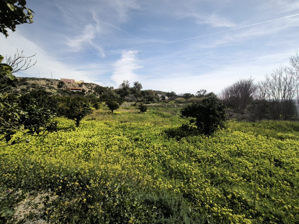 Suelo rústico en Venta en Gador Almería