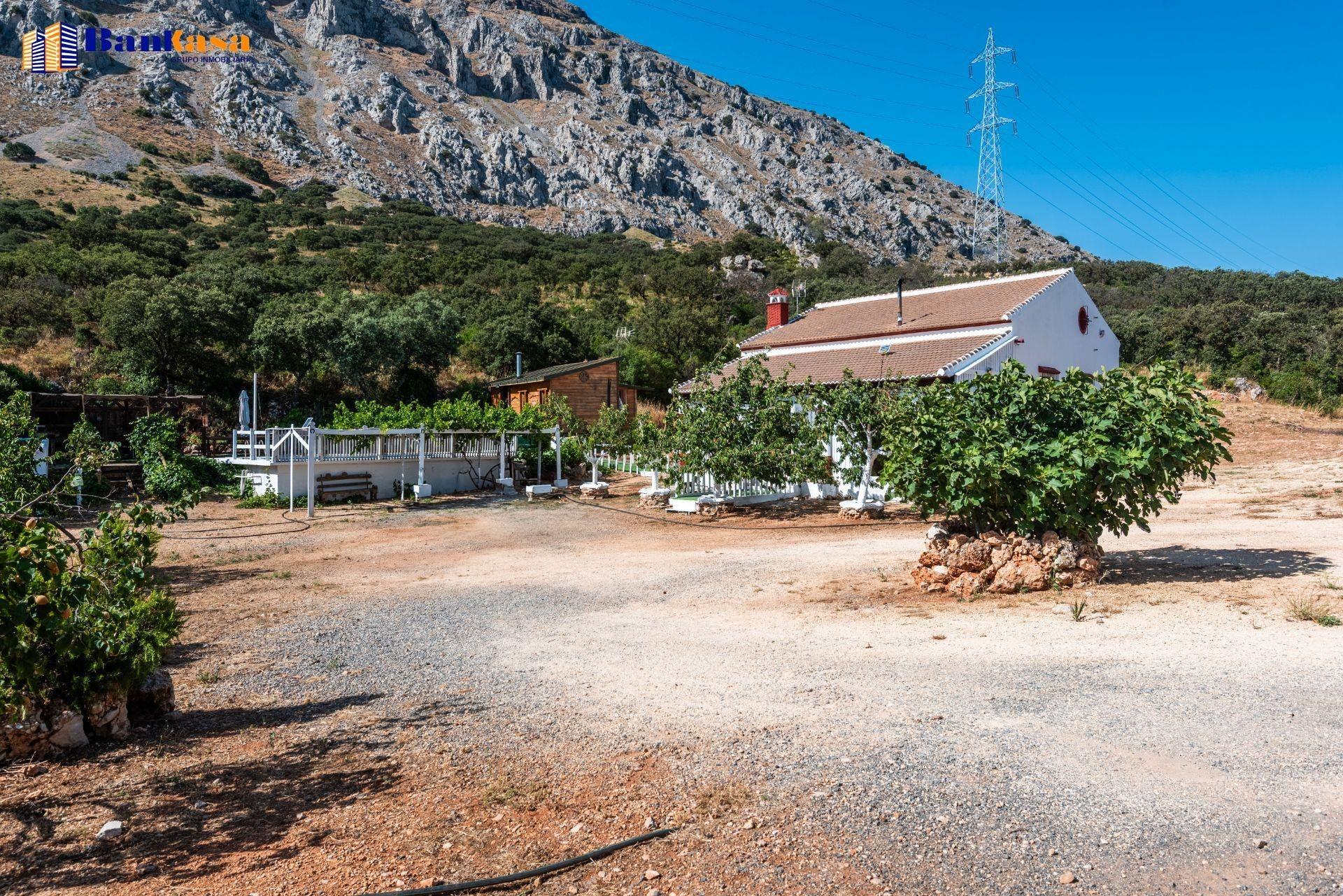 piscina y terreno de casi 4.500 m2 en Conquín – Rioja (Almería) en Rioja foto 3 piscina y terreno de casi 4.500 m2 en Conquín – Rioja (Almería)
