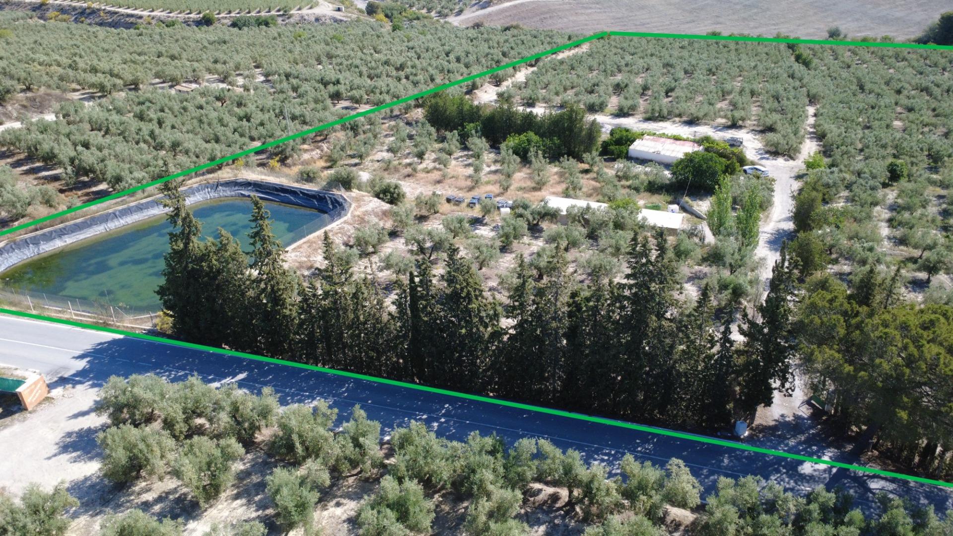 Finca con luz