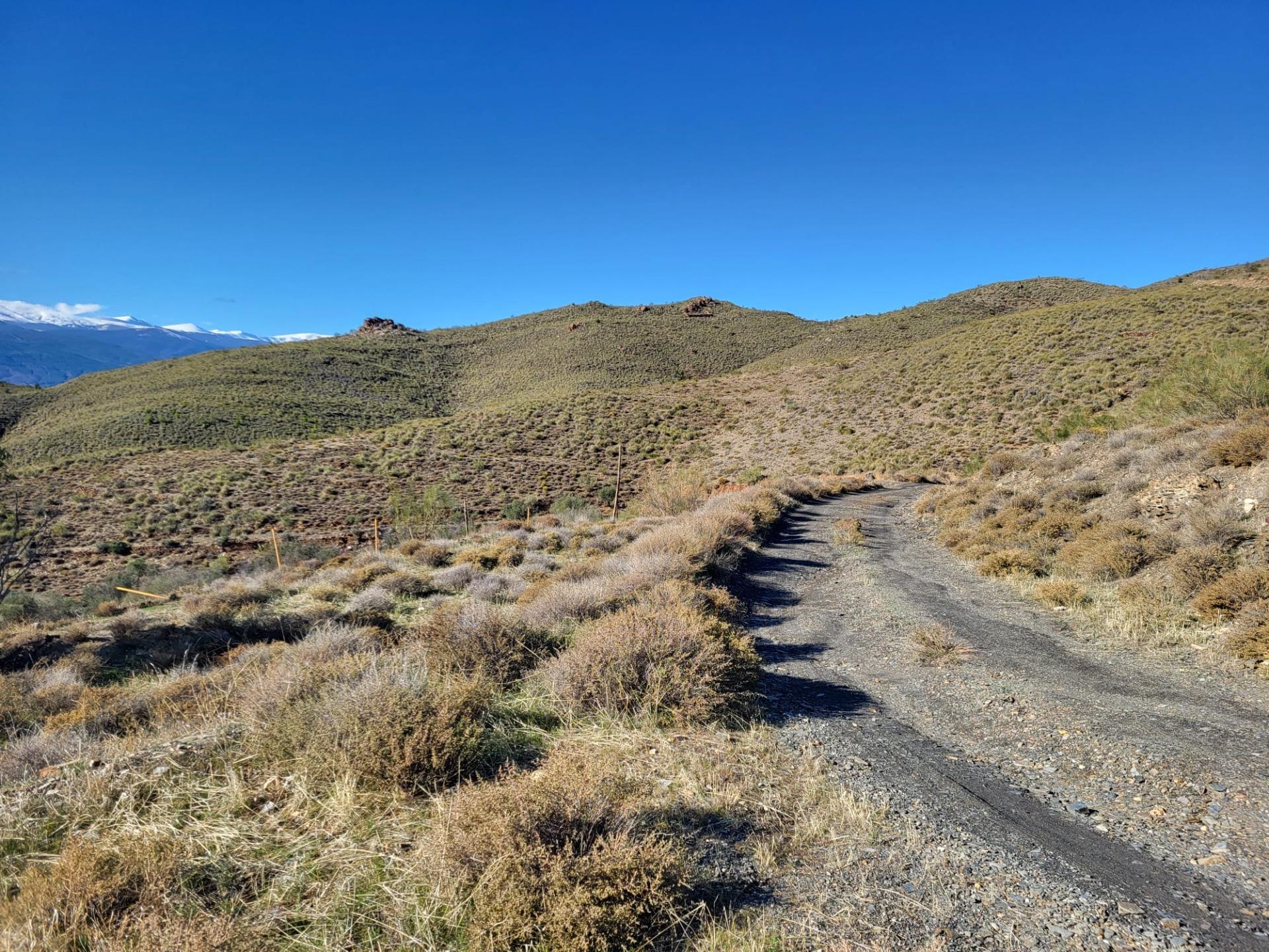 SE VENDE FINCA EN ABLA Y ESCULLAR