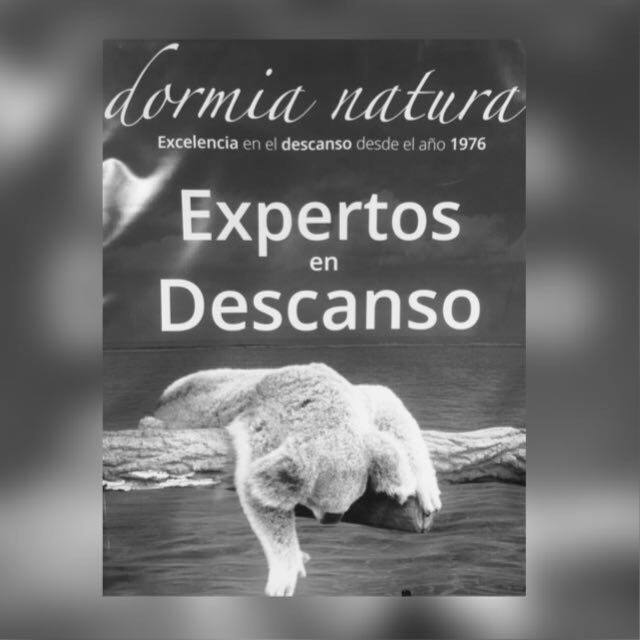 Black-and-white poster reading 'Sleep Experts' with a resting koala lying on a log above water.