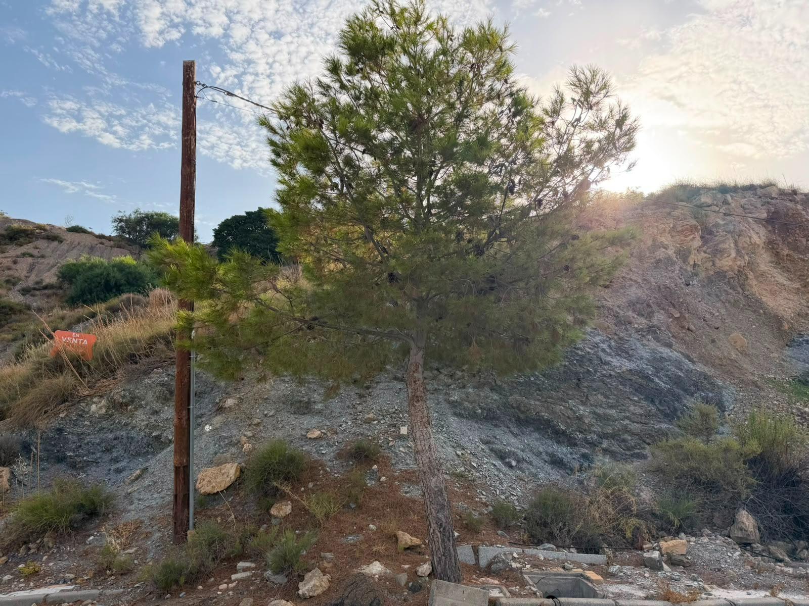 Oportunidad Única en La Envía: Parcela a la Venta por €38