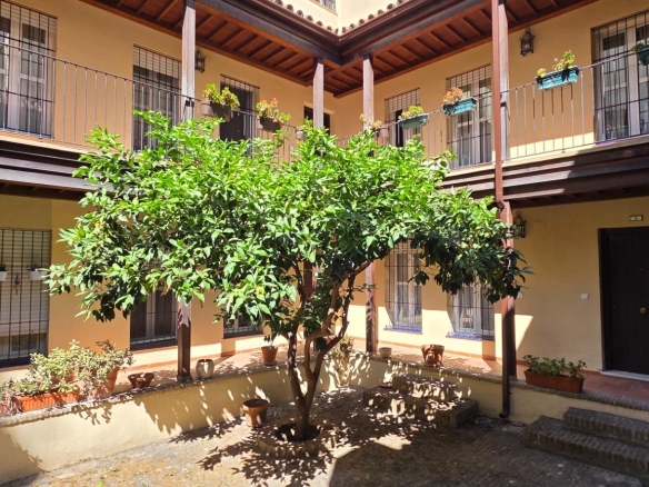 Apartamento Triana San Jacinto