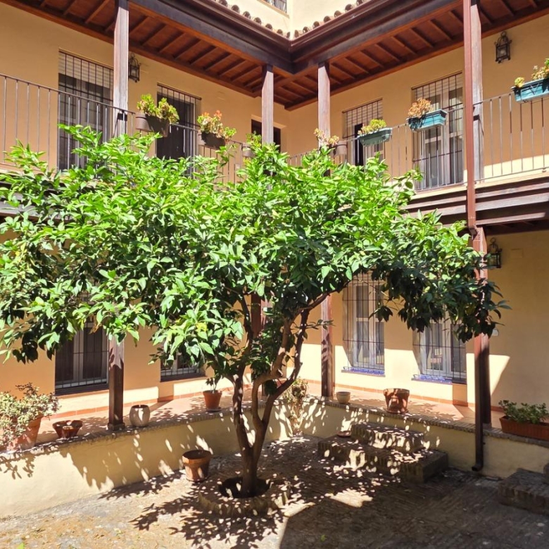 Apartamento Triana San Jacinto