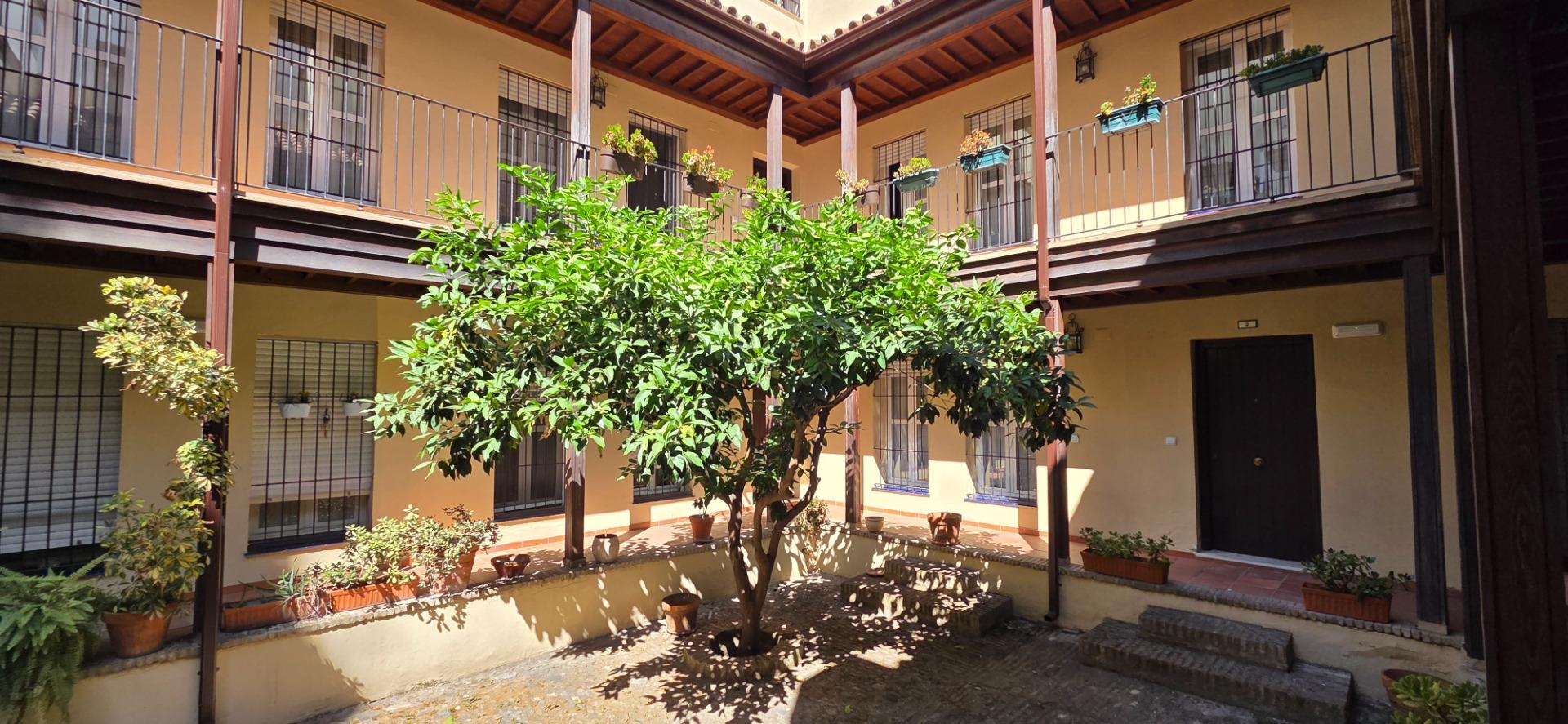 Apartamento Triana San Jacinto