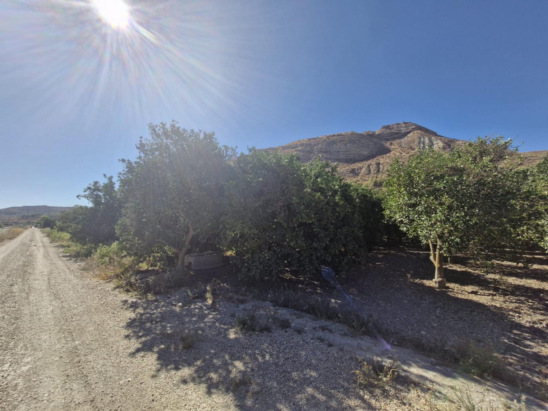 Parcela rústica en Terque – 2.700 m2 junto al río en Terque foto 3 Parcela rústica en Terque – 2.700 m2 junto al río