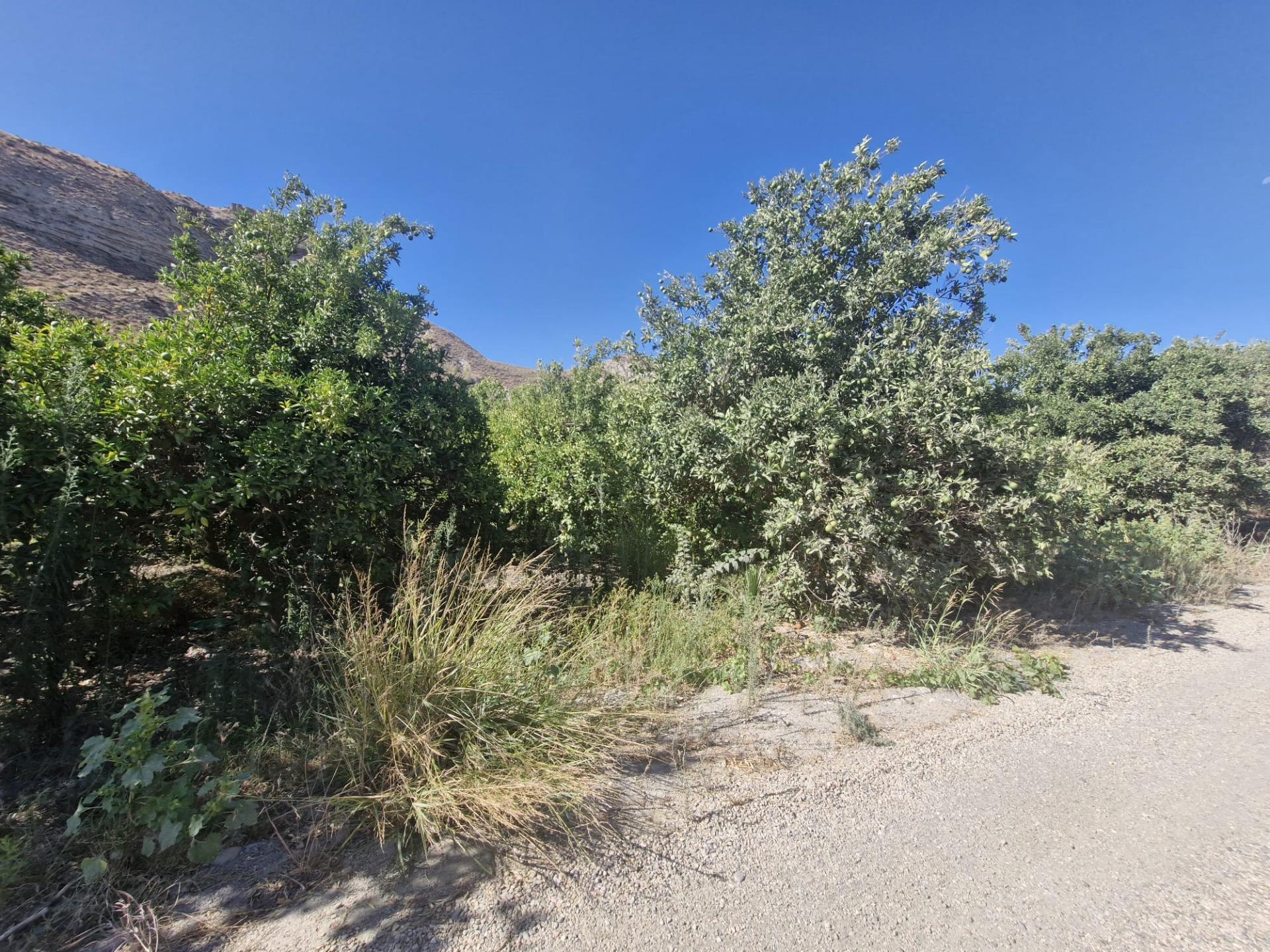 Parcela rústica en Terque – 2.700 m2 junto al río en Terque foto 4 Parcela rústica en Terque – 2.700 m2 junto al río