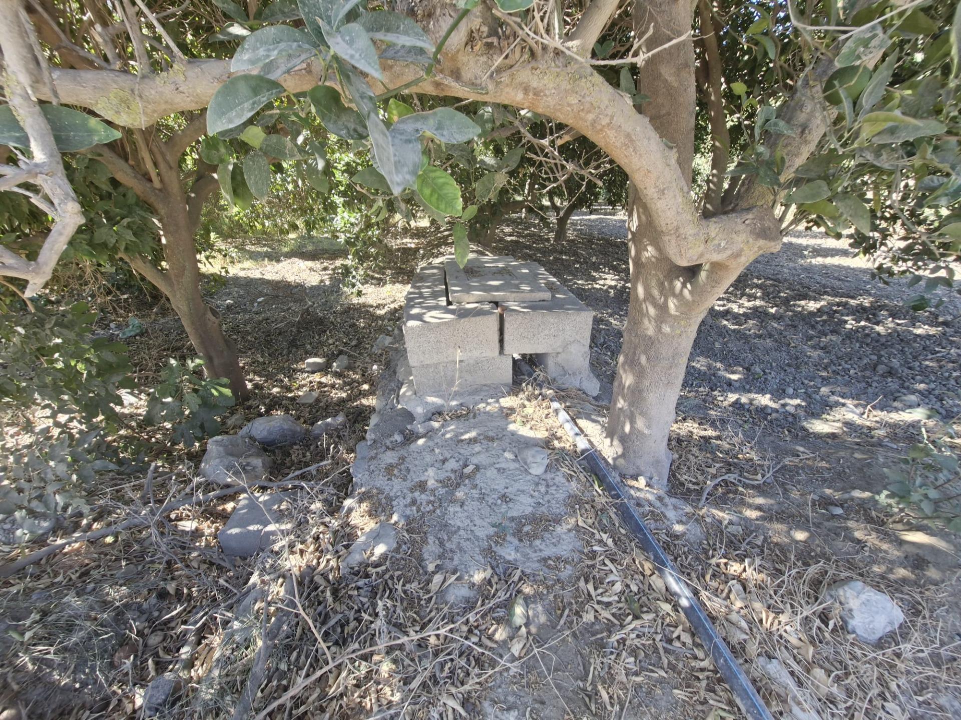 Parcela rústica en Terque – 2.700 m2 junto al río en Terque foto 6 Parcela rústica en Terque – 2.700 m2 junto al río