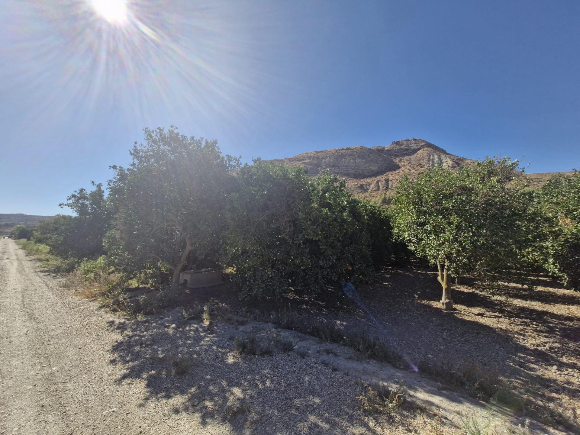 Parcela rústica en Terque – 2.700 m2 junto al río en Terque foto 8 Parcela rústica en Terque – 2.700 m2 junto al río