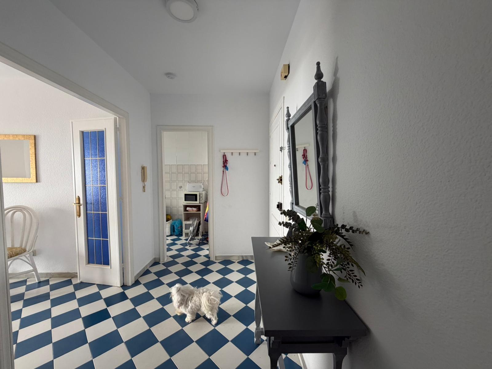 ¡Tu nuevo hogar en Aguadulce Sur te espera!