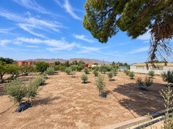 FINCA DE 3.000 M2 CON AMPLIA VIVIENDA