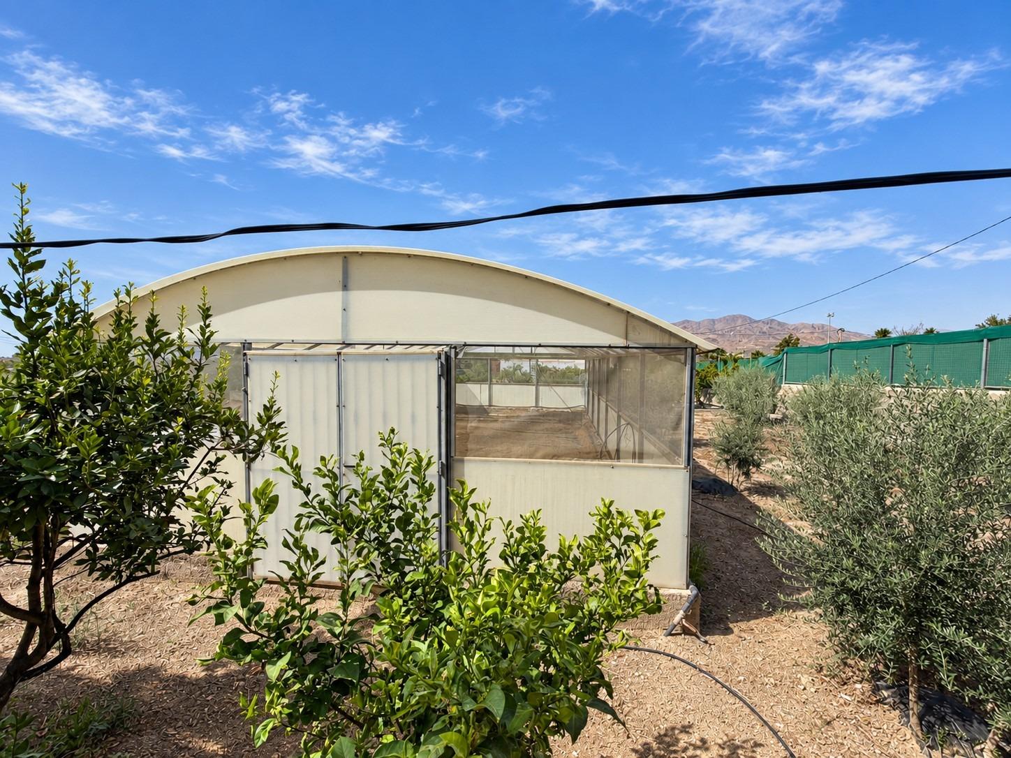FINCA DE 3.000 M2 CON AMPLIA VIVIENDA