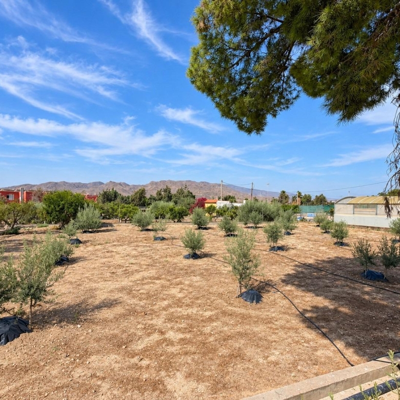FINCA DE 3.000 M2 CON AMPLIA VIVIENDA
